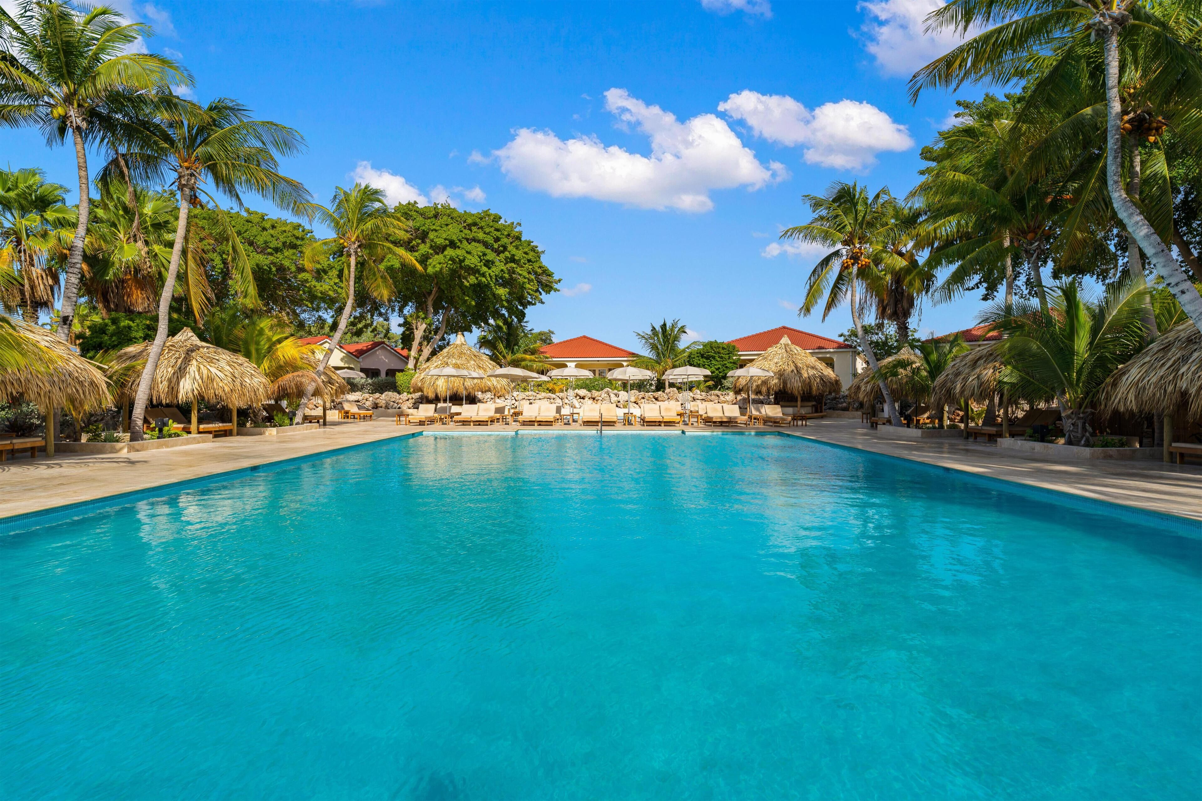 A swimming pool with lounge chairs and palm trees.