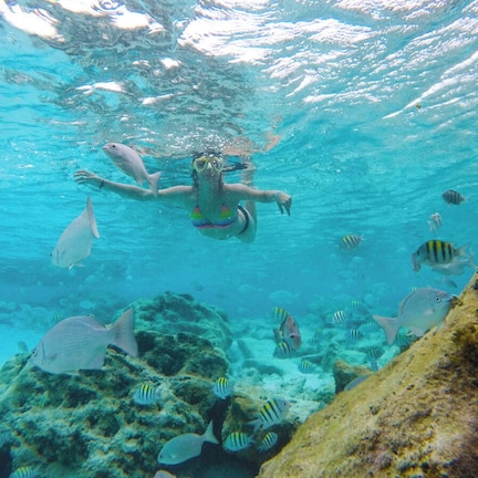 An underwater scene with a person swimming among various fish and coral formations.