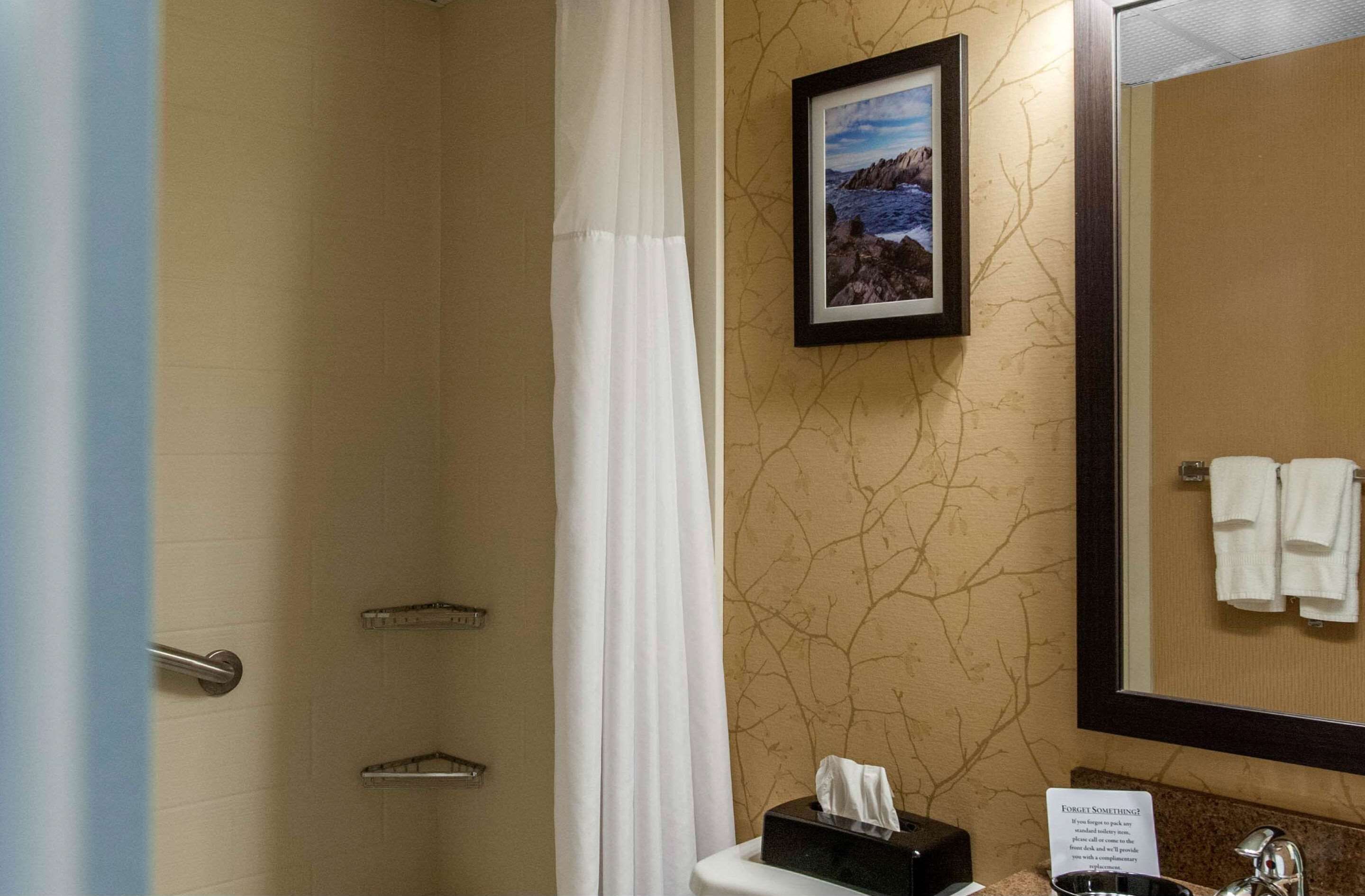 combined shower/bathtub, free toiletries, hair dryer, towels