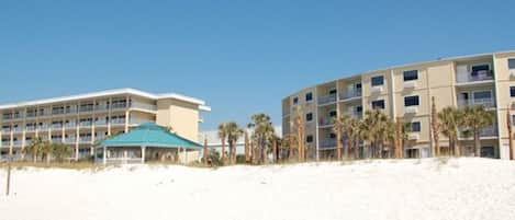 Un hôtel en bord de mer, avec plusieurs étages, une zone couverte dotée d’un toit végétalisé et des palmiers au premier plan.