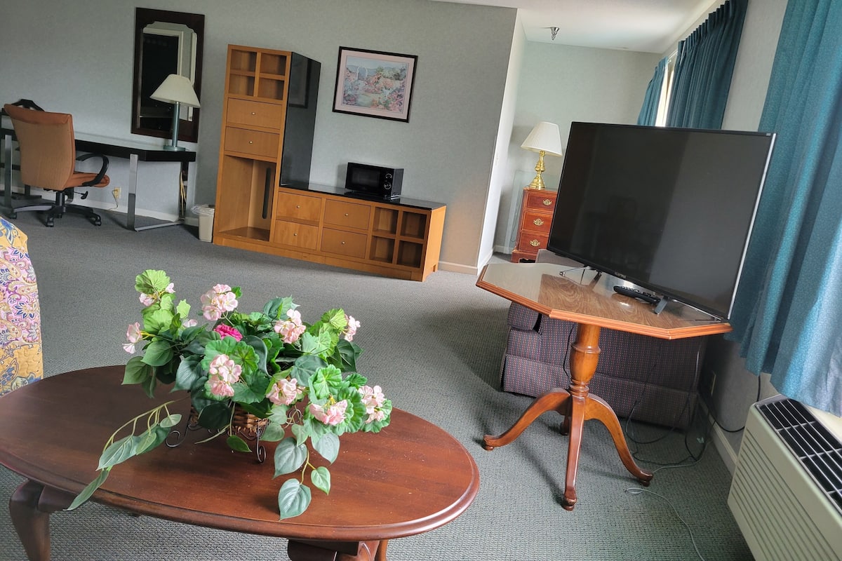 Quarto de hotel com escrivaninha de madeira, televisão, sofá e planta sobre uma mesa.