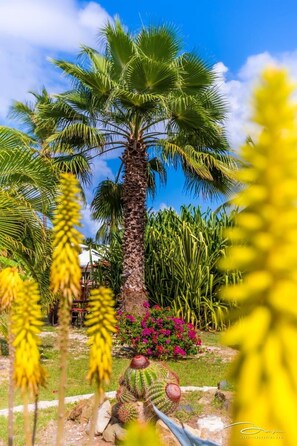 Vue sur le jardin