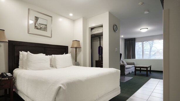 Habitación de hotel con una cama grande, una mesita de noche con lámpara, un reloj en la pared y una ventana con vistas a árboles.