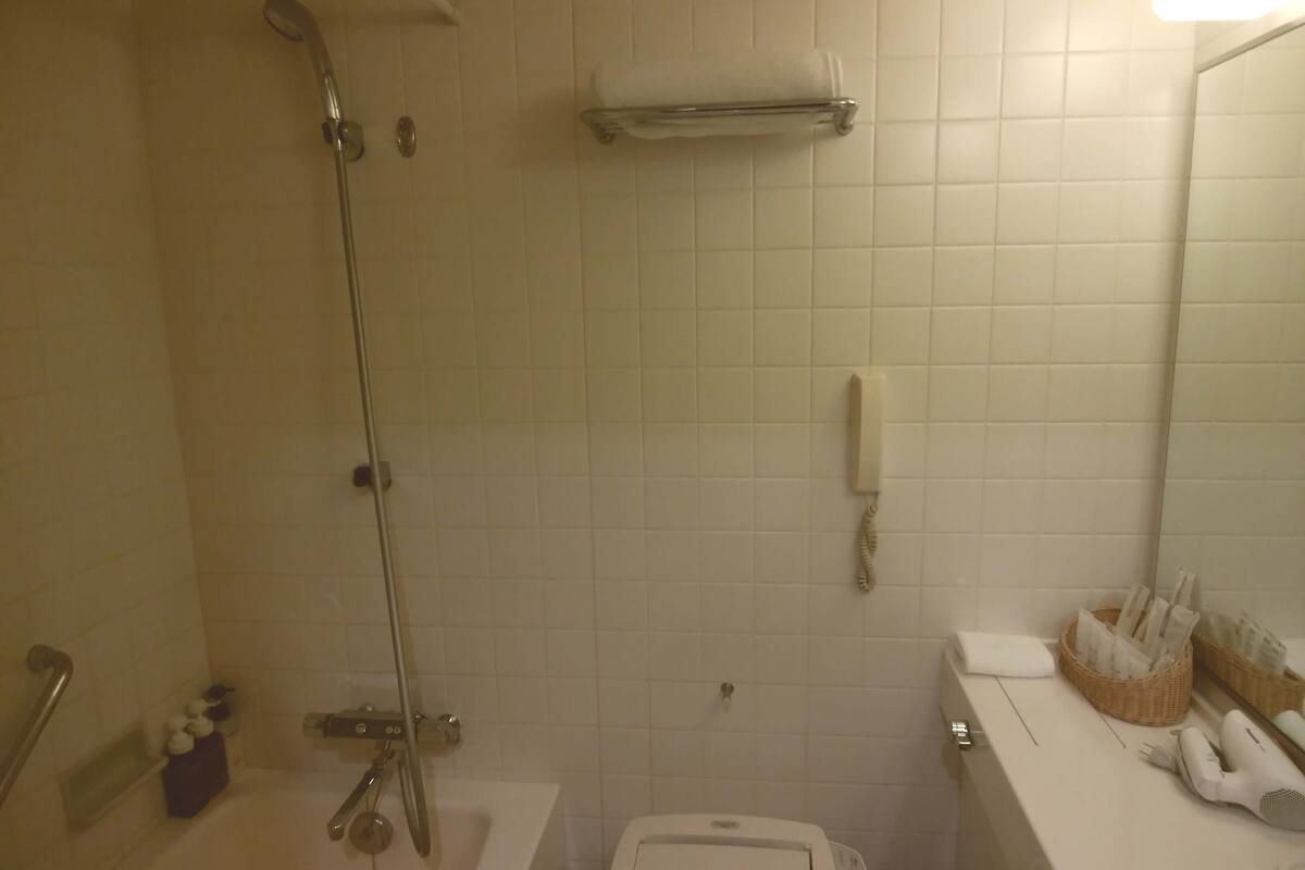 combined shower/bathtub, free toiletries, hair dryer, slippers
