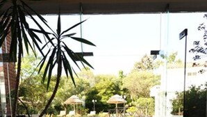 Une terrasse fermée par des baies vitrées, aménagée avec du mobilier d’extérieur et agrémentée d’une plante en pot.