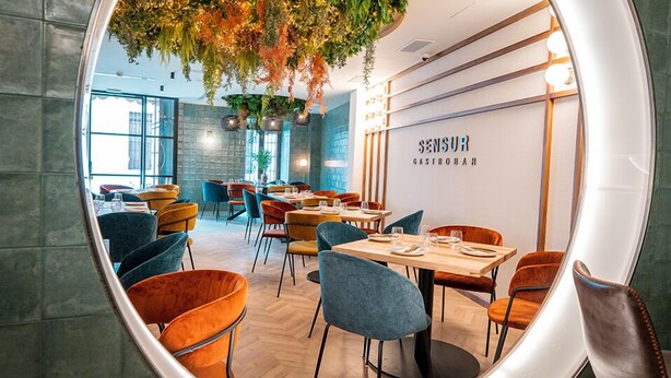 Interior moderno de restaurante con mesas y sillas de madera, plantas colgantes y un letrero visible para 'SENSUR GASTROBAR'.
