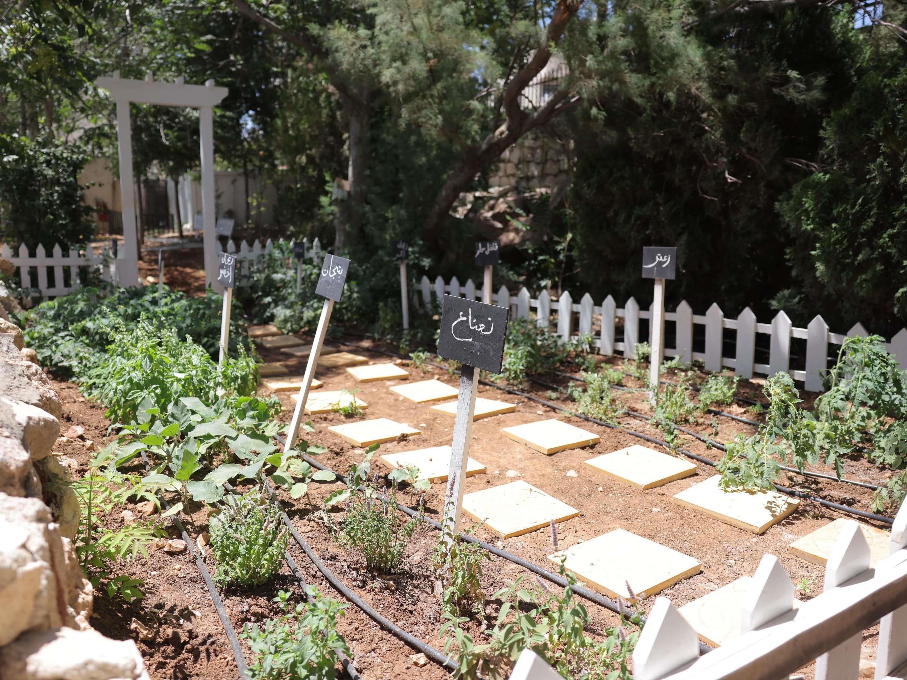 A garden with raised beds, a white picket fence, and signs with text.
