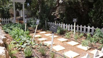 A garden with raised beds, a white picket fence, and signs with text.