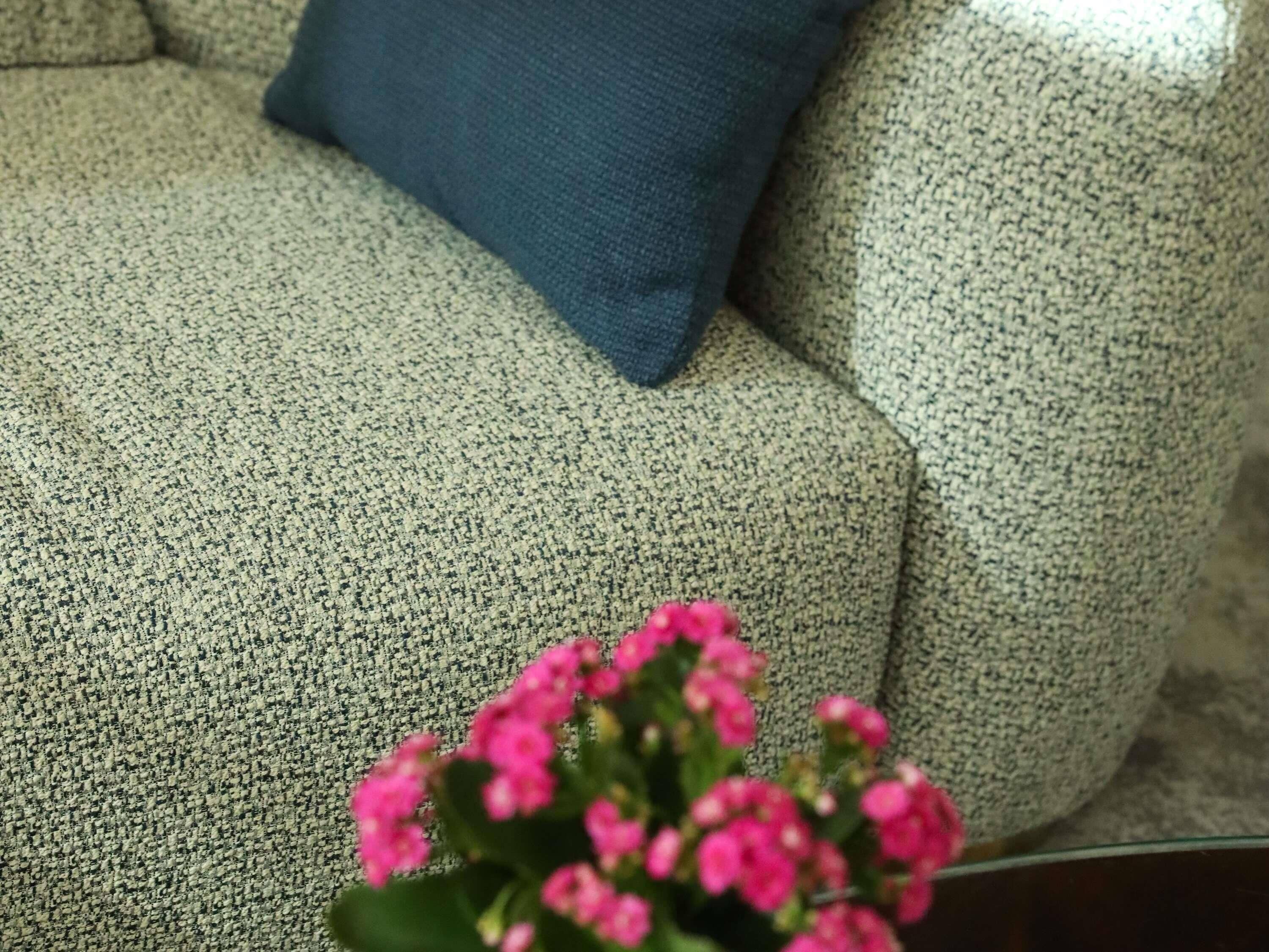 Um sofá com textura, um travesseiro azul e um arranjo de flores rosa em primeiro plano.