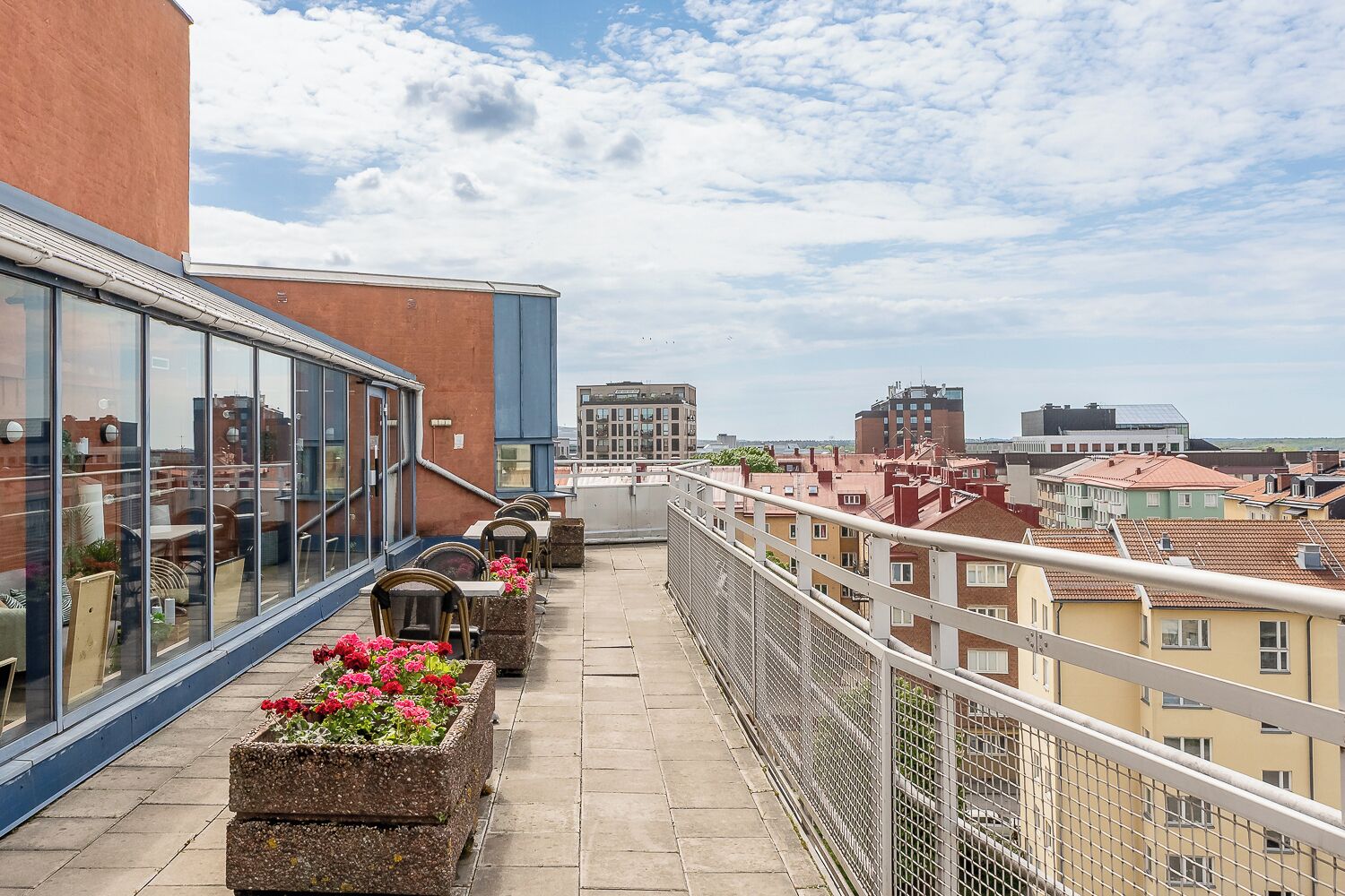 Terraza en la azotea
