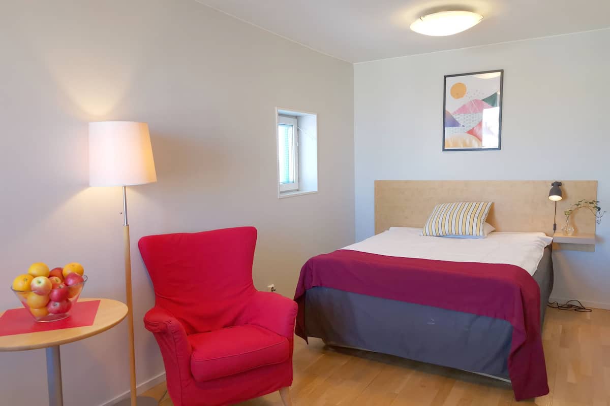 Studio Queen | In-room safe, laptop workspace, blackout drapes, iron/ironing board