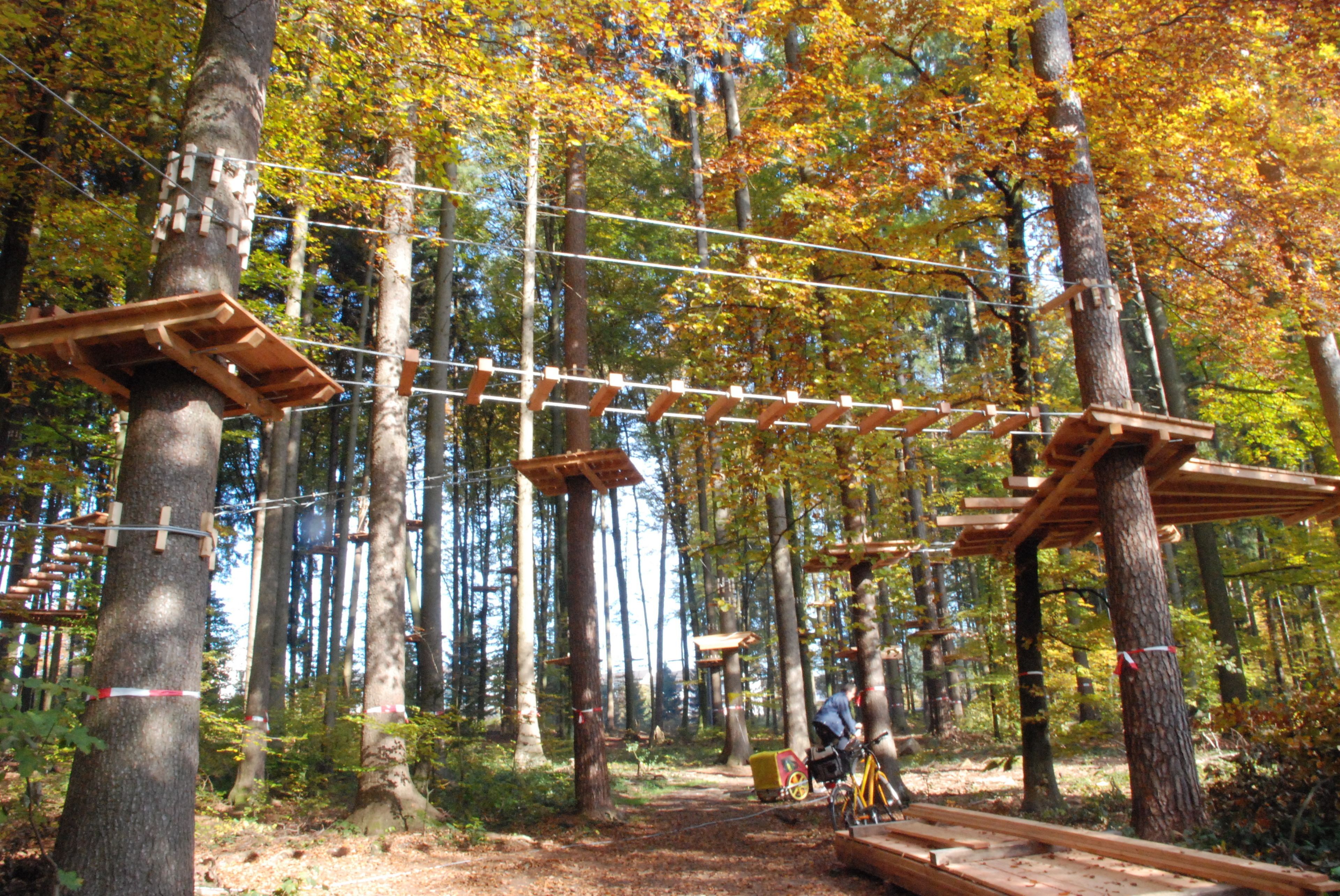 ropes course (team building)