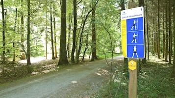 Ein bewaldeter Wanderweg mit einem Schild, das auf einen Via Francigena-Pfad nach Zürich hinweist.