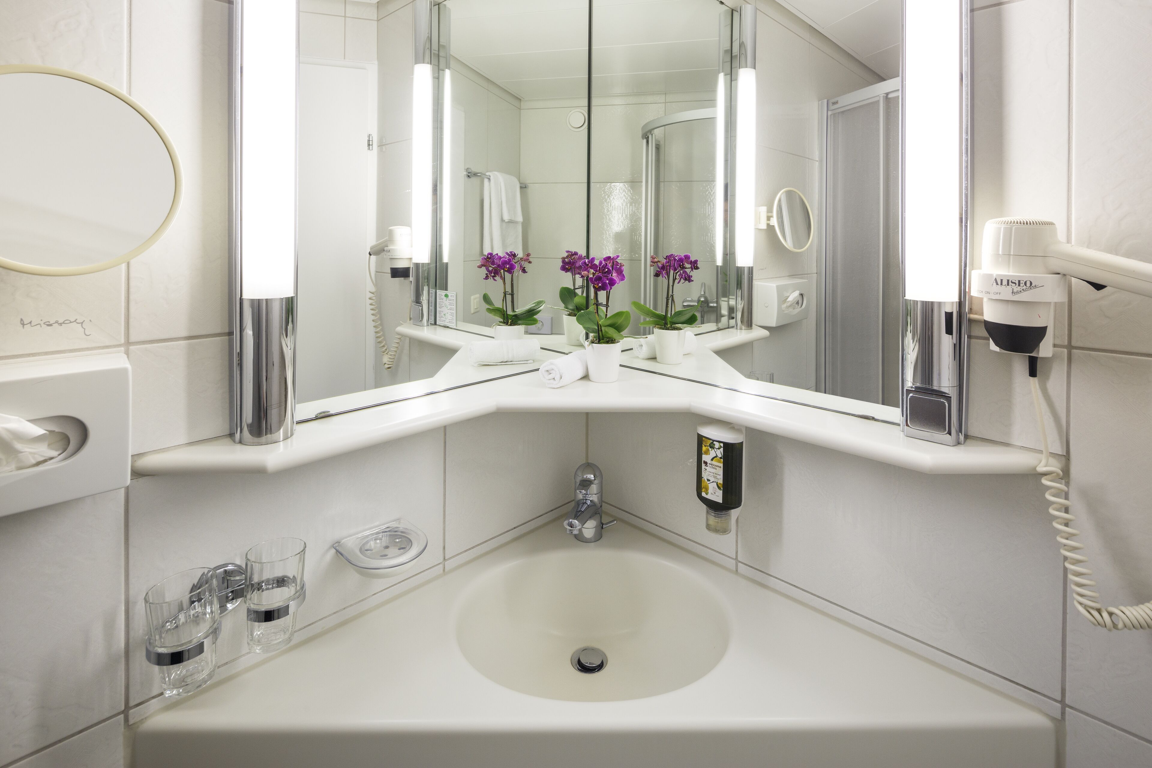 standard room | bathroom | shower, hair dryer, towels