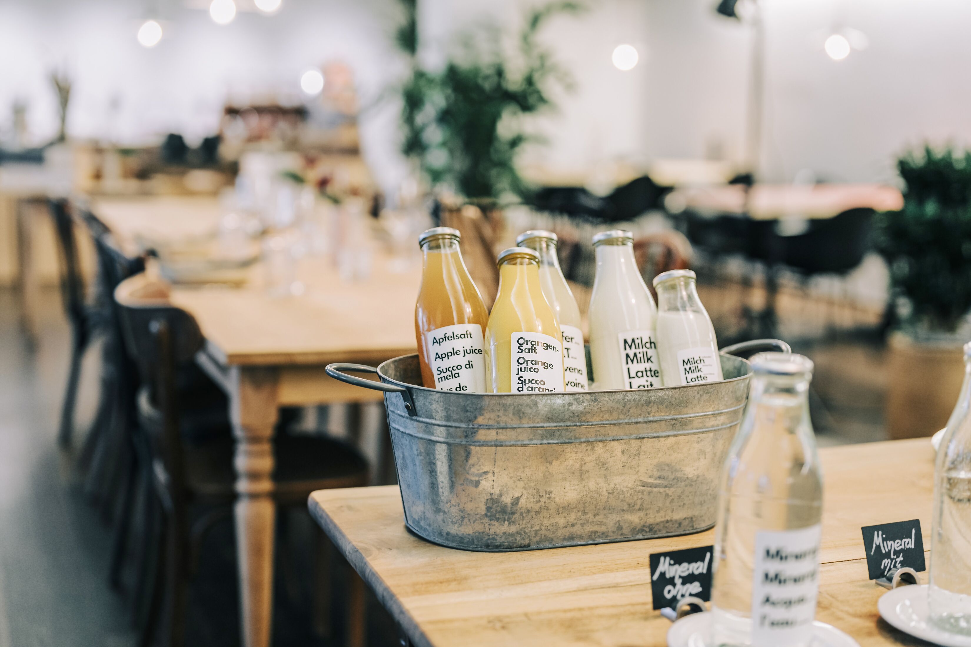 breakfast and lunch served, regional cuisine