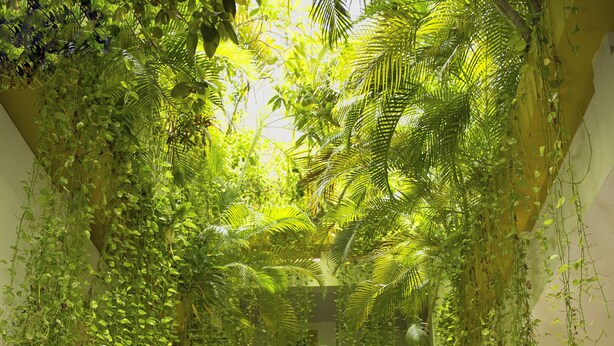 Un comedor con plantas colgantes, piso de baldosas y una bicicleta al fondo.