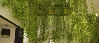 Hotel Los Itzaes by 5th av