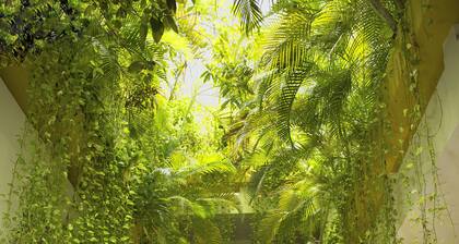 Hotel Los Itzaes by 5th av