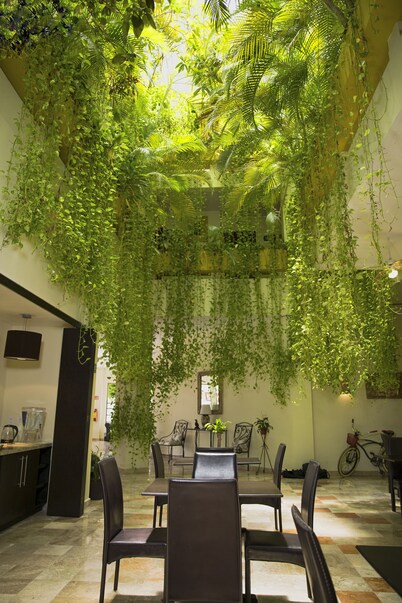 Hotel Los Itzaes by 5th av