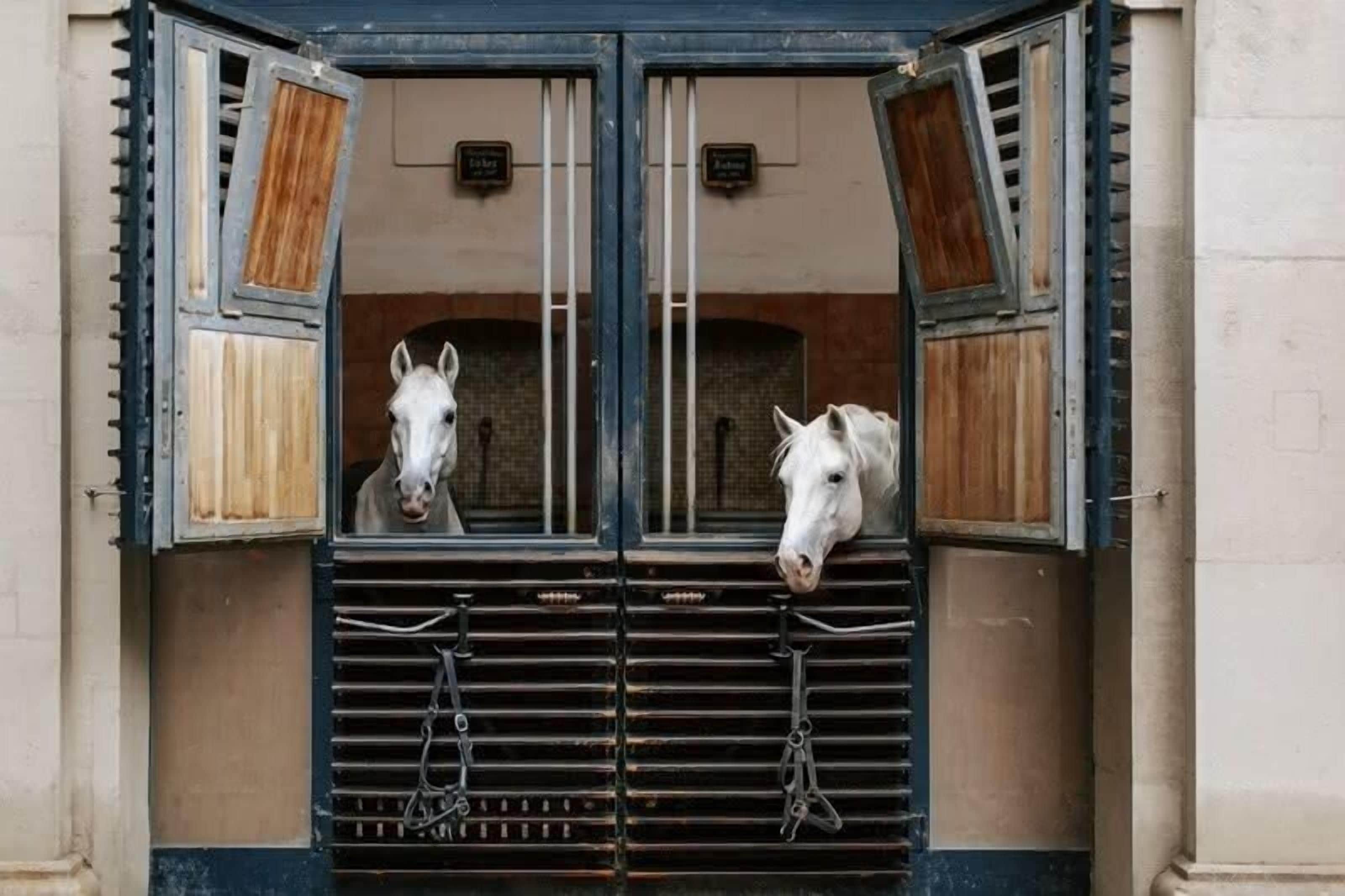 A stable with two horses visible through the open doors.