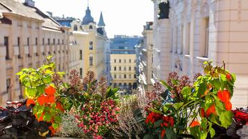 A balcony with a variety of plants and flowers, overlooking a street with historic buildings.