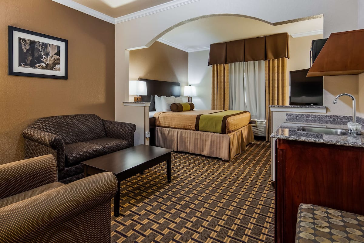 A hotel room with a sofa, a bed, a desk, a mirror, a picture on the wall, and a kitchen area with a sink and a TV.