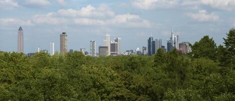 Un horizonte urbano con edificios modernos y altos, y un bosque denso en primer plano.