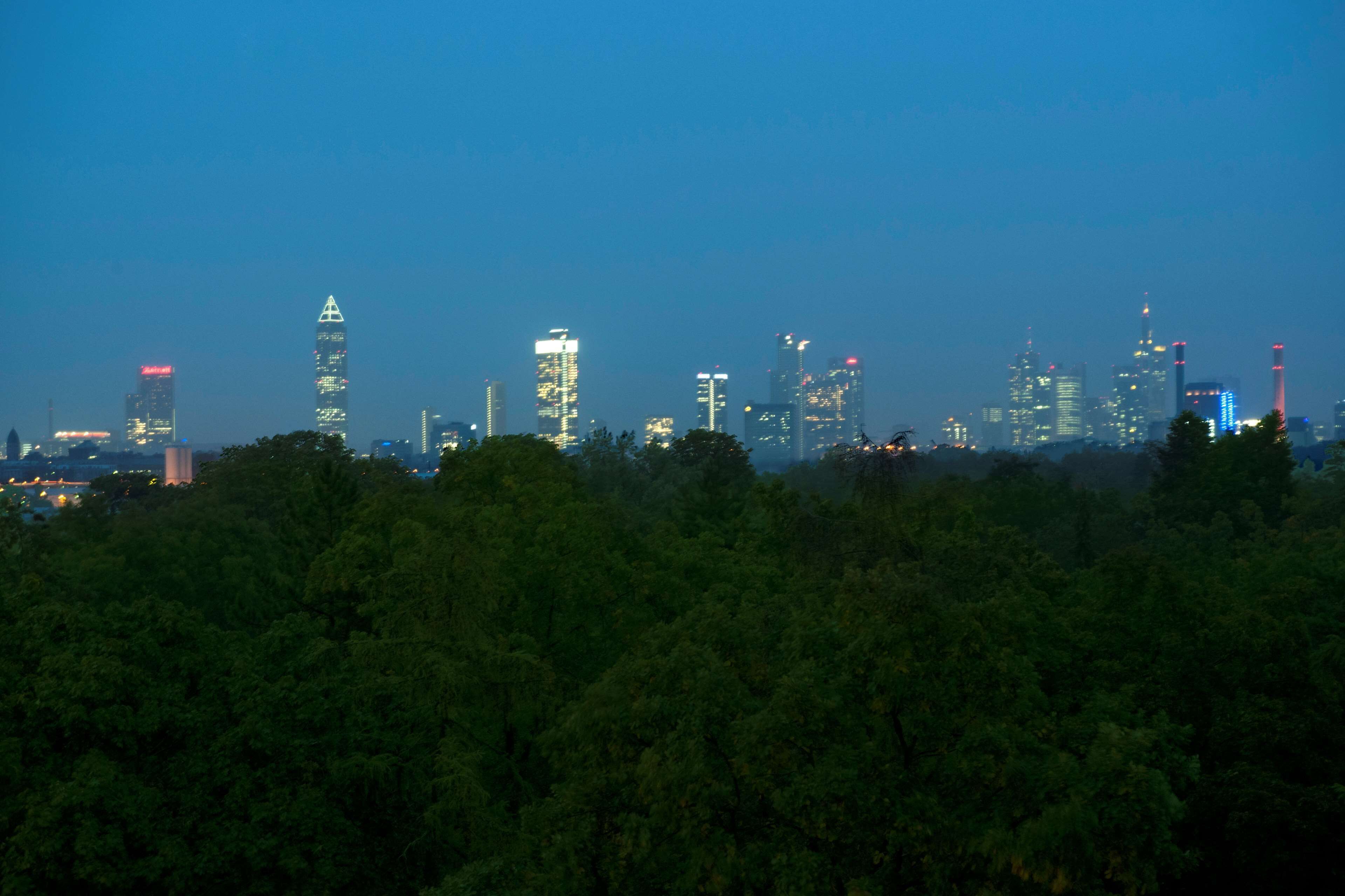 A city skyline at dusk with illuminated buildings and dense green foliage in the foreground.