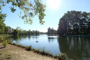 Lake