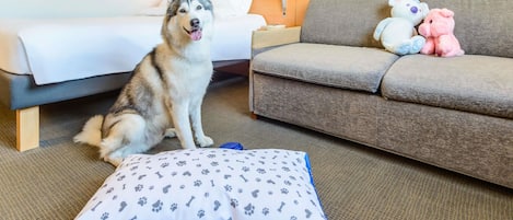 Una habitación de hotel con una cama, un sofá, un perro y un peluche.