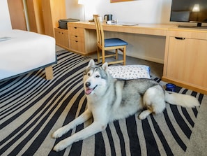 Hypo-allergenic bedding, down duvets, minibar, in-room safe - Novotel Torino Corso Giulio Cesare (Turin)