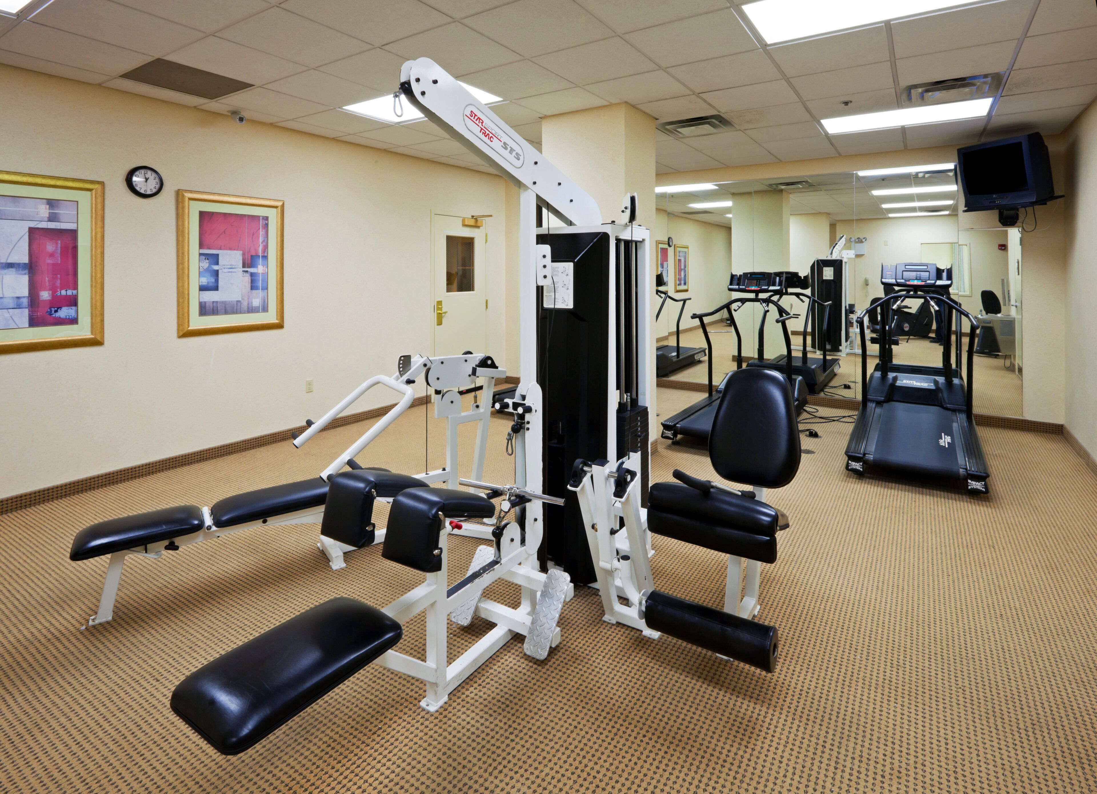 A gym with exercise equipment, treadmills, and a carpeted floor.