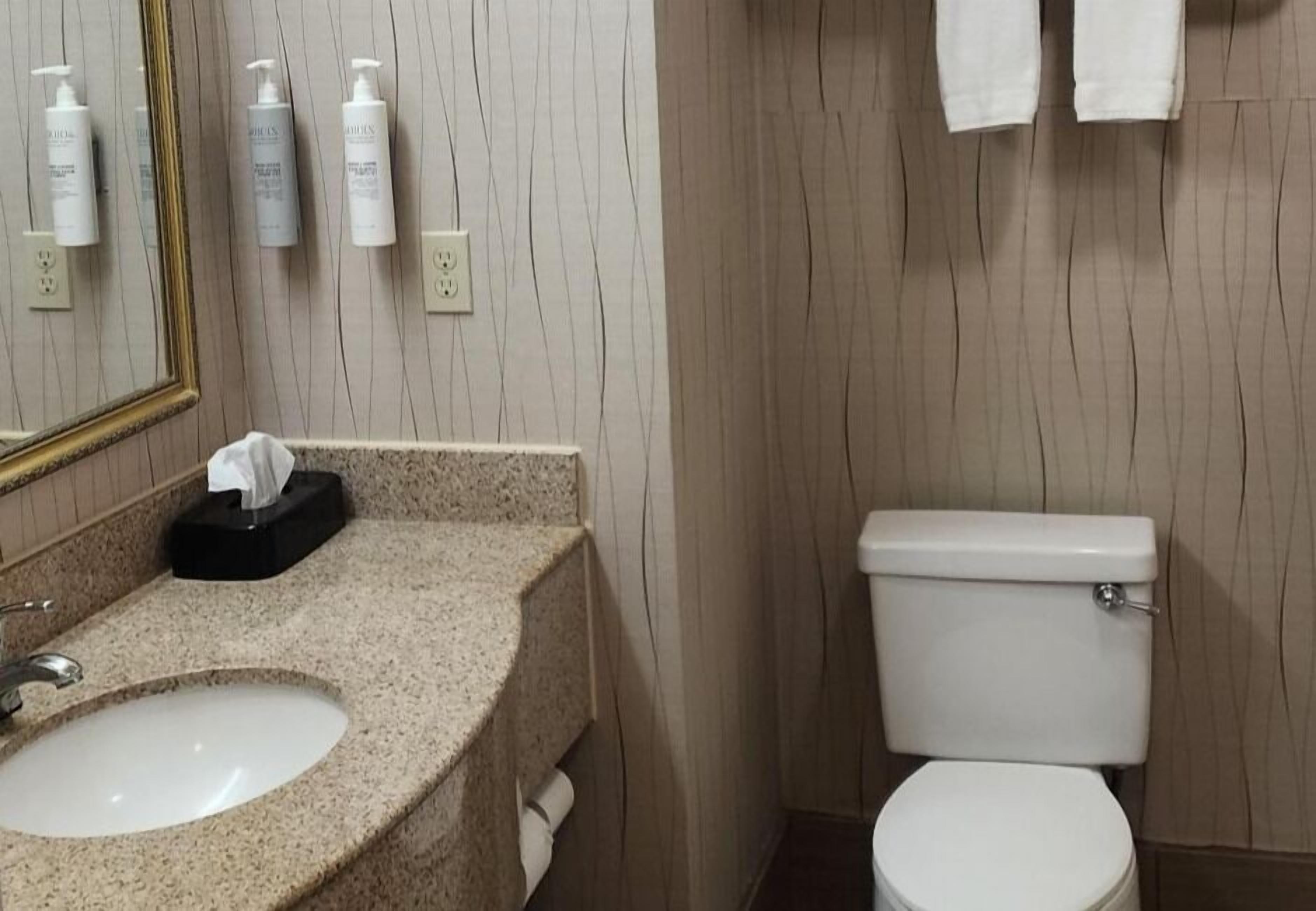 Free toiletries, hair dryer, towels, soap