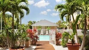 A pool area with a pathway leading to a building, surrounded by potted plants and palm trees. - Hampton Inn & Suites Tarpon Springs (Tarpon Springs)