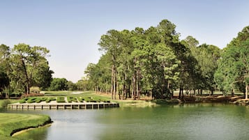 Un campo de golf con un estanque, rodeado de árboles frondosos y césped cuidado.