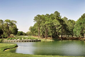 A golf course with a pond, surrounded by dense trees and well-maintained grass. - Hampton Inn & Suites Tarpon Springs (Tarpon Springs)