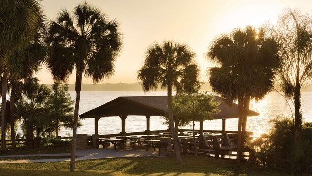 A gazebo with a view of the water, surrounded by palm trees. - Hampton Inn & Suites Tarpon Springs (Tarpon Springs)