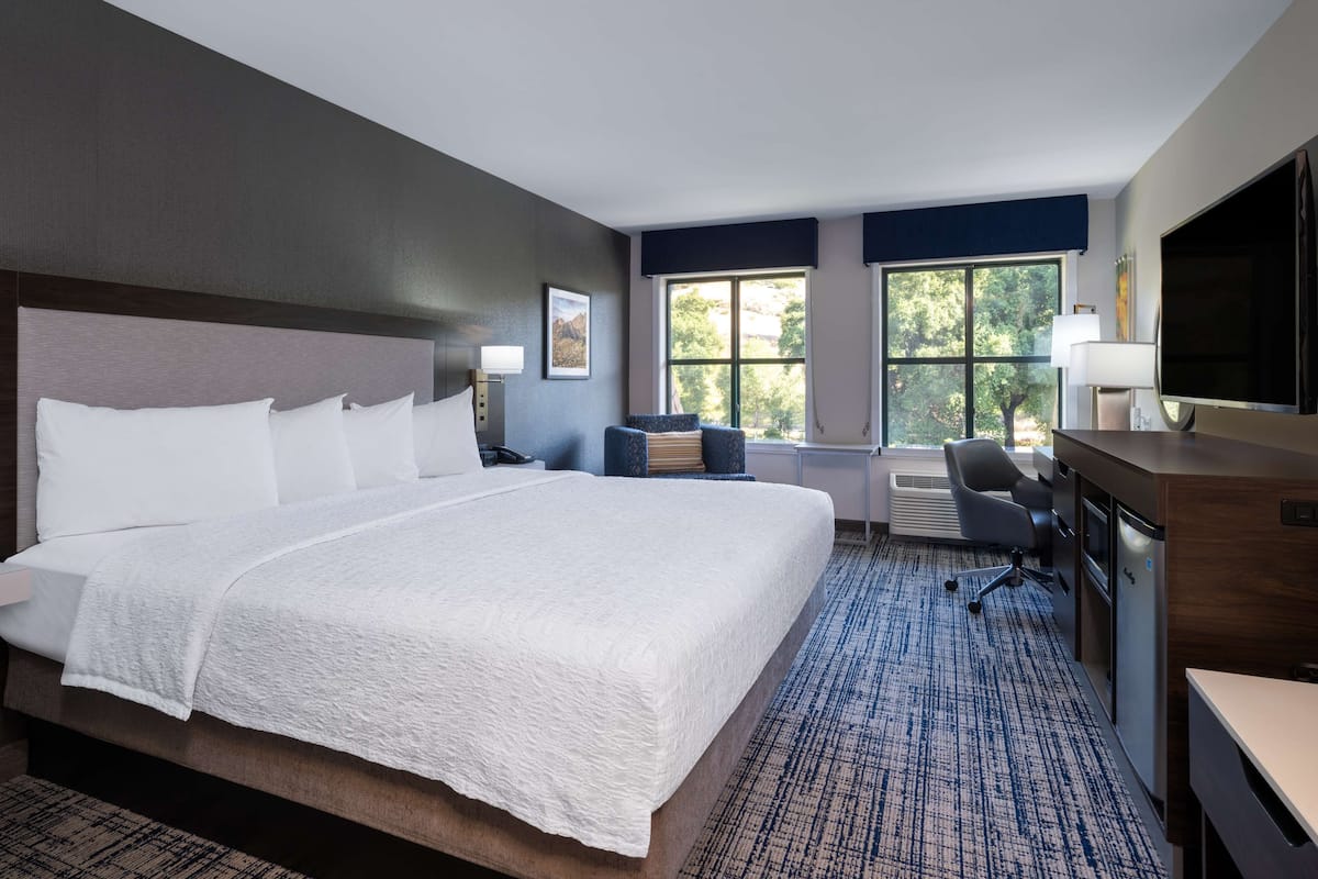 A hotel room with a large bed, a desk, a chair, a TV, and a window with a view of trees.