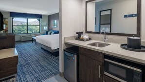 Ein Hotelzimmer mit Bett, großem Fenster, Spüle, Mikrowelle und kompaktem Geschirrspüler.