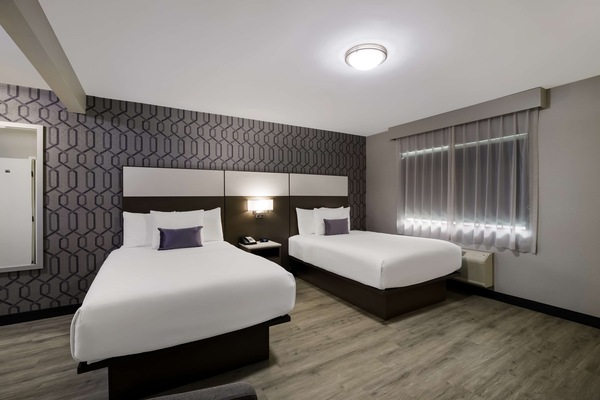Standard Room, 2 Double Beds, Non Smoking, Refrigerator & Microwave (Walk-in Shower) | Blackout drapes, iron/ironing board, free WiFi, bed sheets