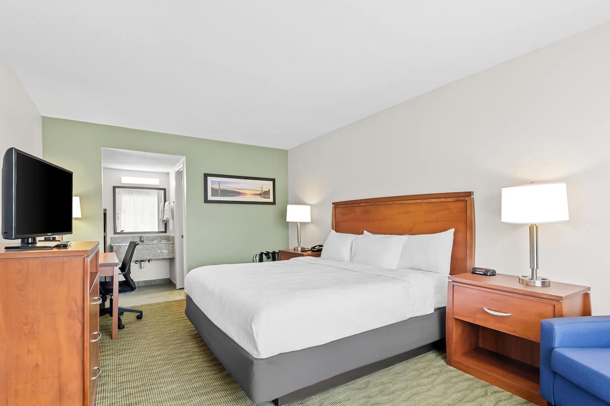 Standard Room, 1 King Bed, Non Smoking
