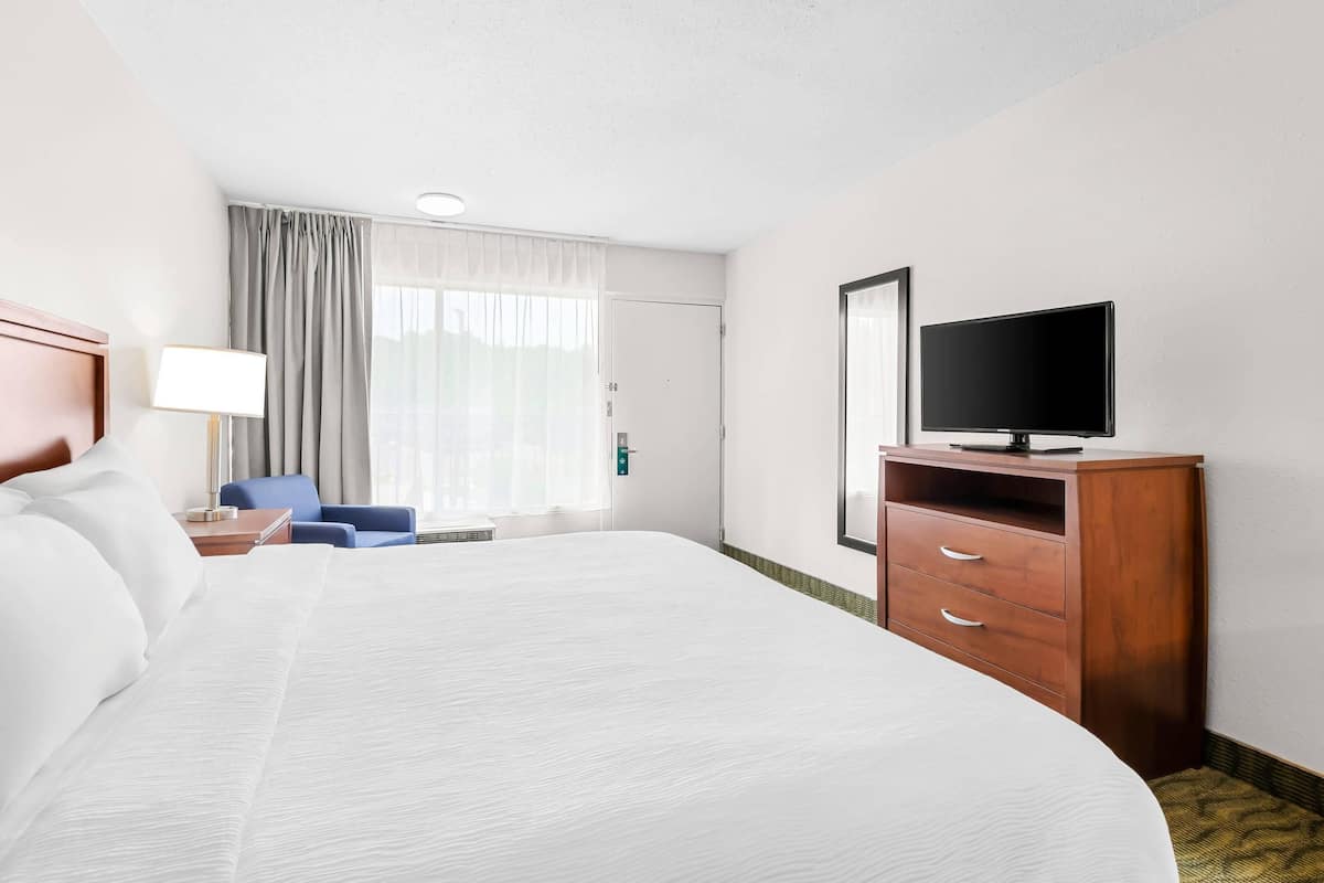 Standardzimmer, 1 King-Bett, Nichtraucher | Schreibtisch, Verdunkelungsvorhänge, Bügeleisen/Bügelbrett