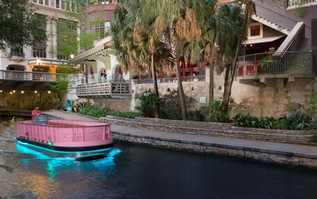 A riverboat with a pink and blue exterior, surrounded by buildings with balconies and a palm tree.