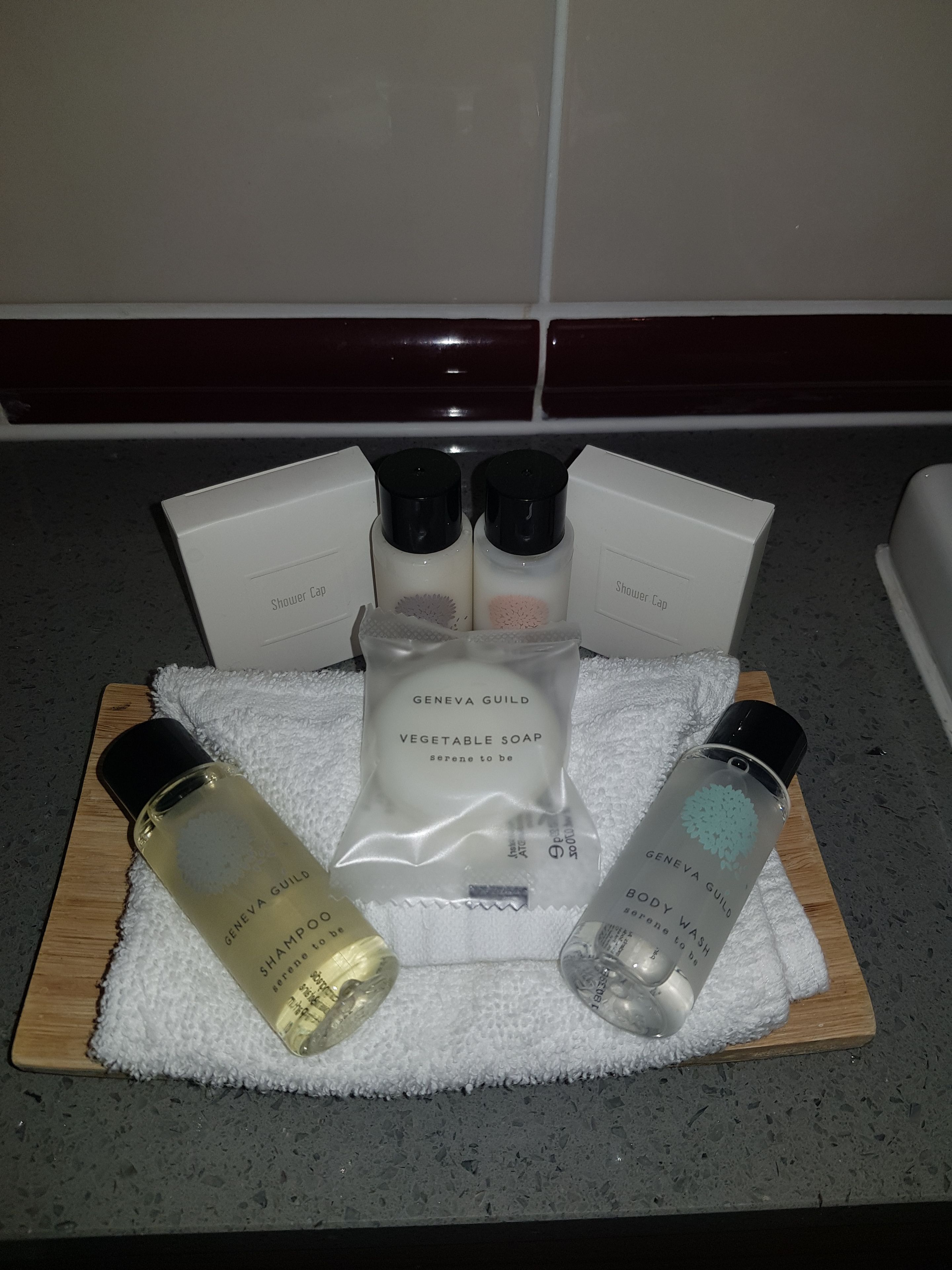 combined shower/bathtub, free toiletries, hair dryer, towels