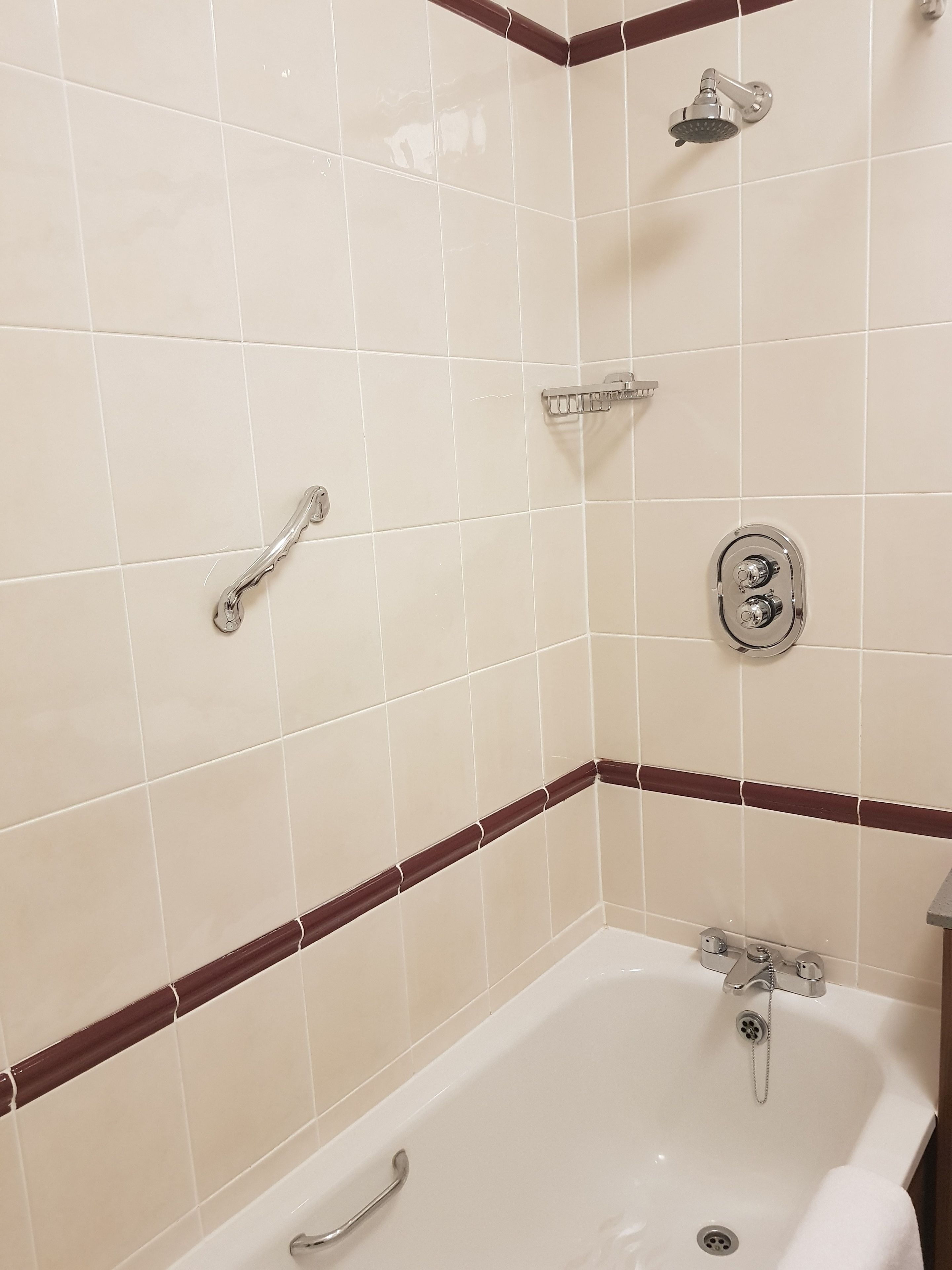 combined shower/bathtub, free toiletries, hair dryer, towels