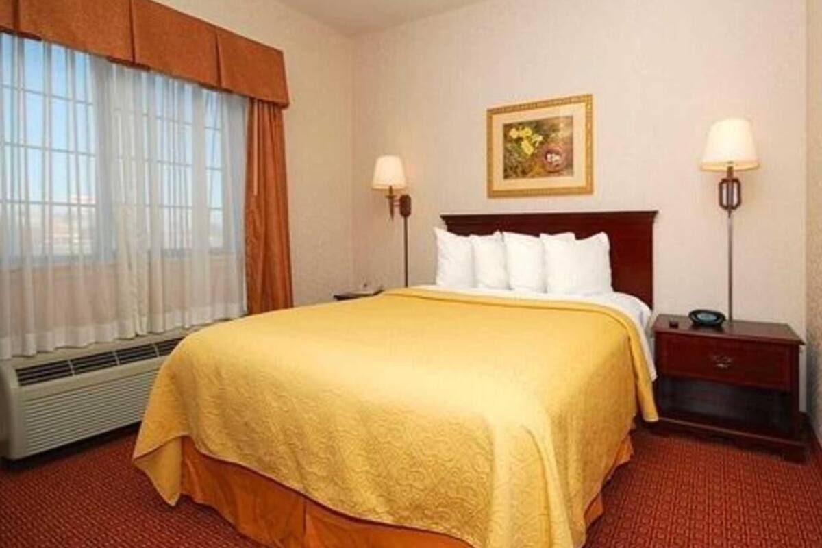 Une chambre d’hôtel avec un grand lit, une table de chevet, une lampe, un tableau au mur et une fenêtre avec des rideaux.