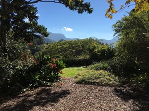 Vista desde la habitación