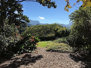 Suite Standard, 1 chambre, non-fumeur, cuisine (The Cottage at Hillcrest) | Vue de la chambre