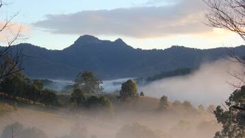 A misty landscape with rolling hills and trees.