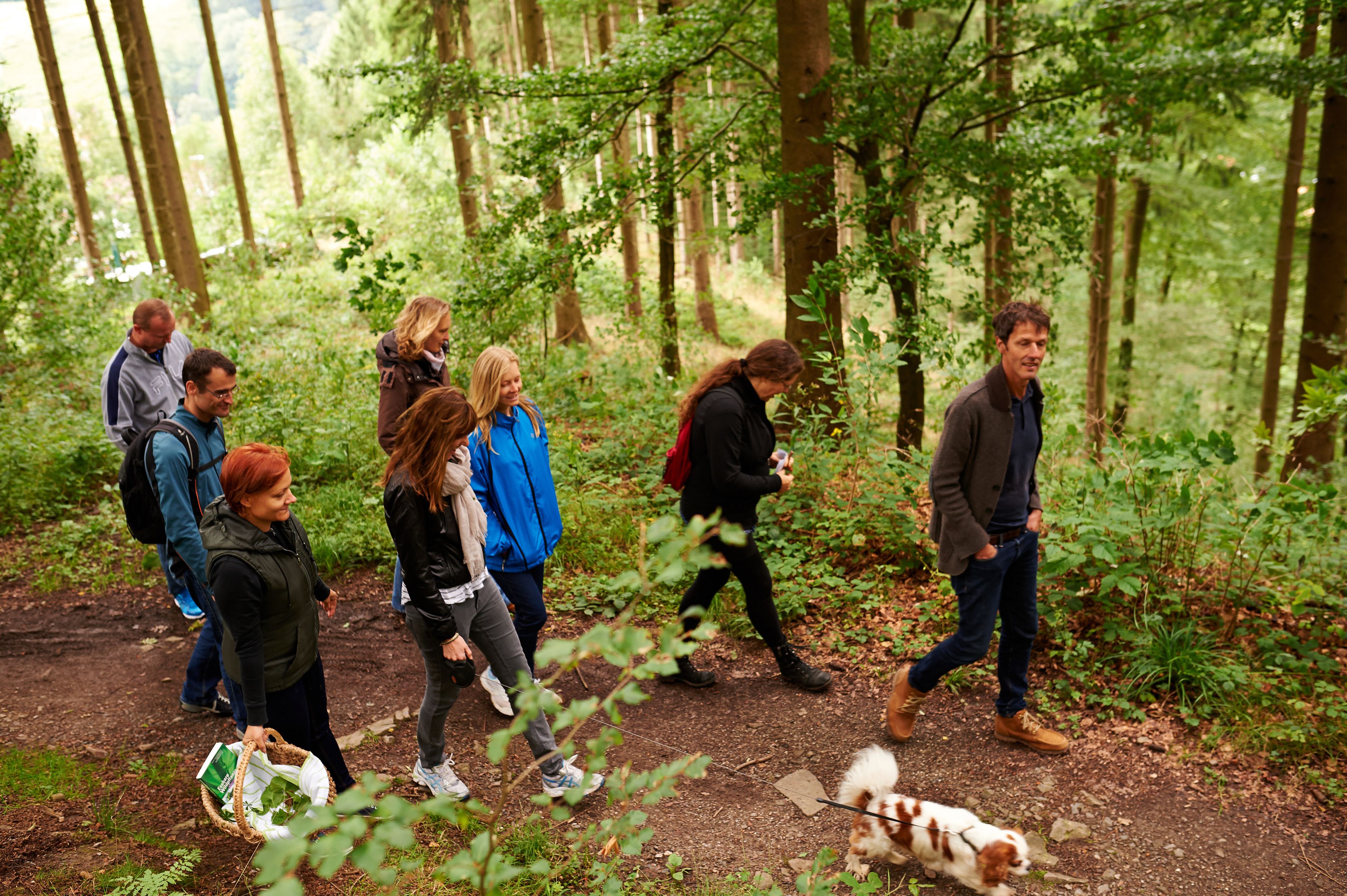 Un grupo de personas caminando por un sendero en un bosque.